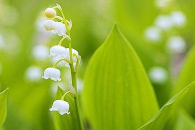 《城市：天际线2》加长预告片深入介绍音频设计